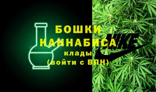 прущие крисы Гусев