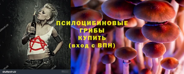 прущие крисы Гусев